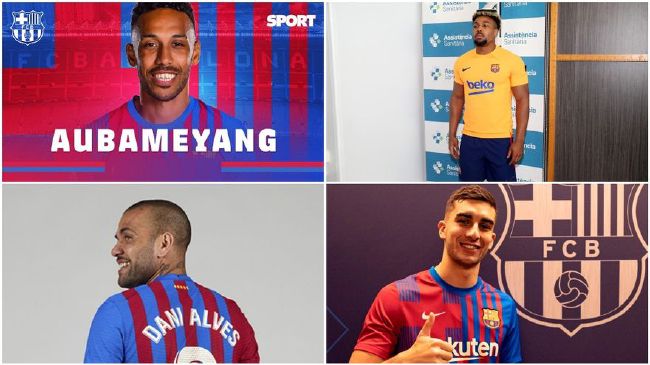 文档网站