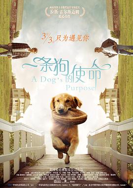 罚男仆夹震蛋器憋尿虐乳双性动漫
