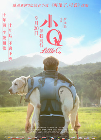 色网导